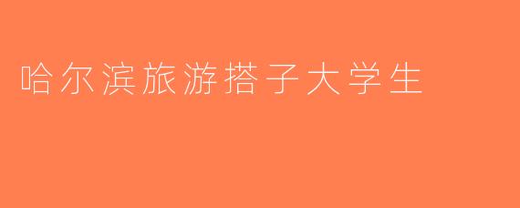 哈尔滨旅游搭子大学生