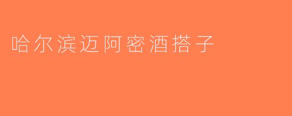 哈尔滨迈阿密酒搭子
