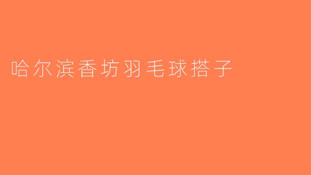 哈尔滨香坊羽毛球搭子