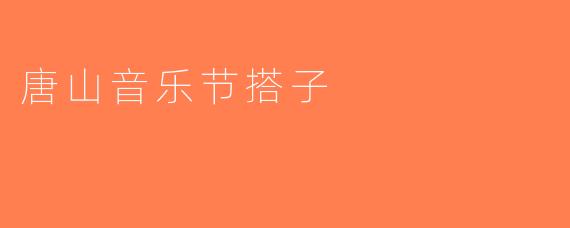 唐山音乐节搭子