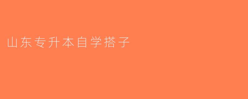 山东专升本自学搭子