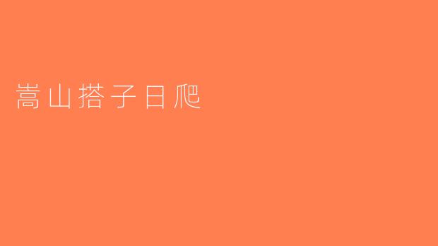 嵩山搭子日爬