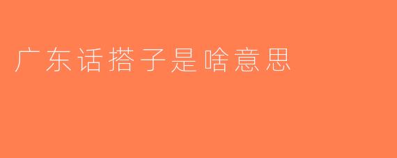 广东话搭子是啥意思