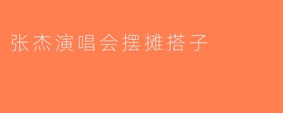 张杰演唱会摆摊搭子