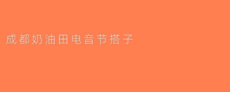 成都奶油田电音节搭子