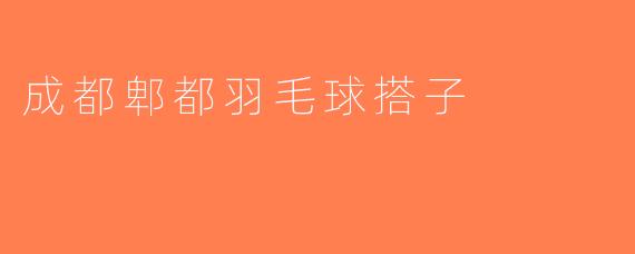 成都郫都羽毛球搭子