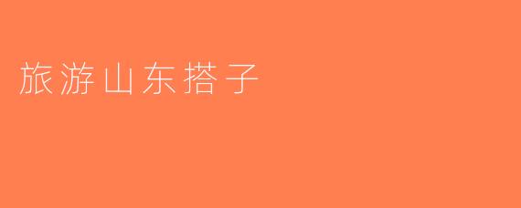 旅游山东搭子