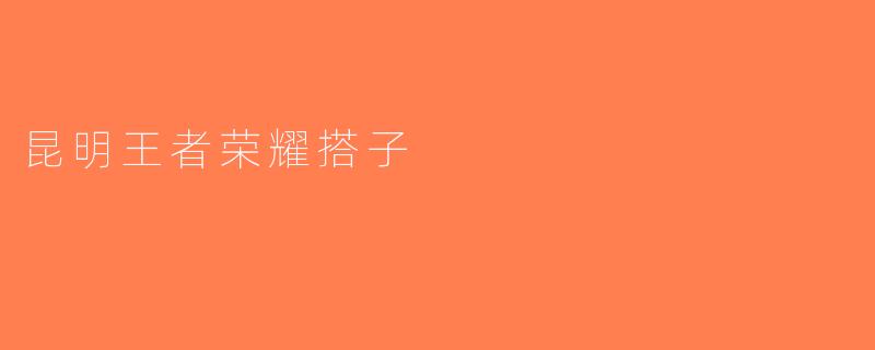 昆明王者荣耀搭子
