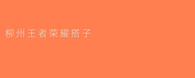 柳州王者荣耀搭子