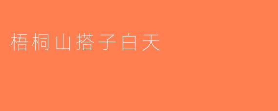 梧桐山搭子白天