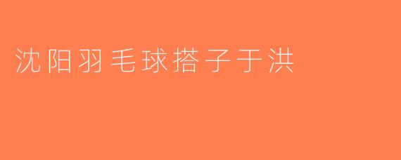 沈阳羽毛球搭子于洪