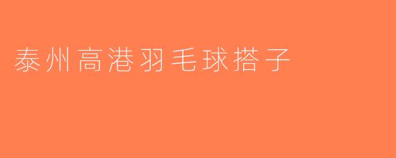 泰州高港羽毛球搭子