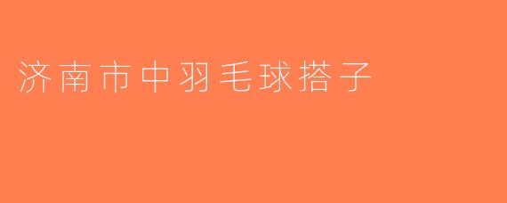 济南市中羽毛球搭子
