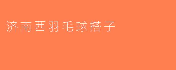 济南西羽毛球搭子