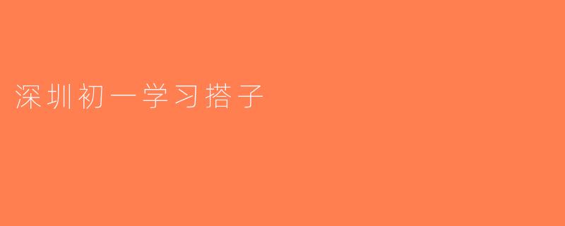 深圳初一学习搭子