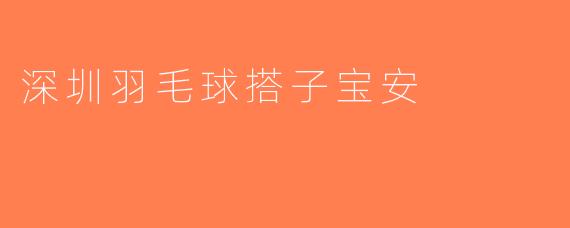 深圳羽毛球搭子宝安