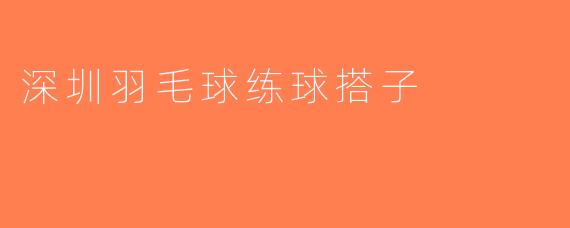 深圳羽毛球练球搭子
