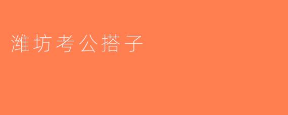 潍坊考公搭子