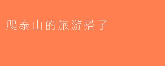 爬泰山的旅游搭子