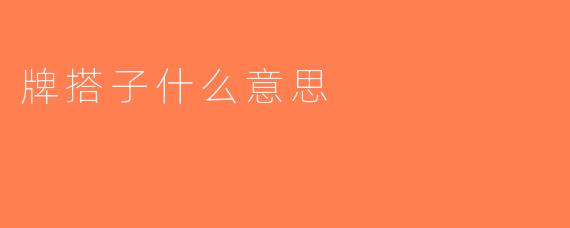 牌搭子什么意思