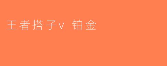 王者搭子v铂金