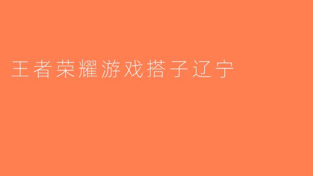王者荣耀游戏搭子辽宁