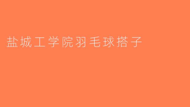 盐城工学院羽毛球搭子