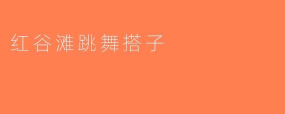 红谷滩跳舞搭子