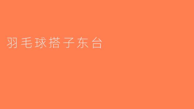 羽毛球搭子东台