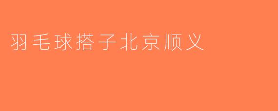 羽毛球搭子北京顺义