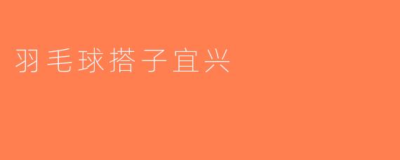 羽毛球搭子宜兴