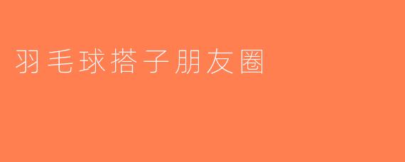 羽毛球搭子朋友圈
