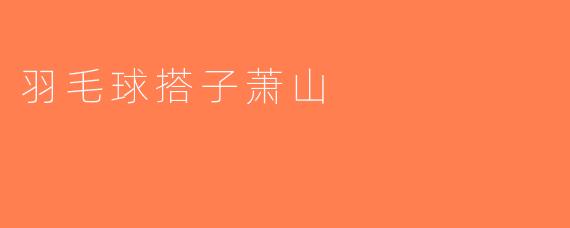 羽毛球搭子萧山
