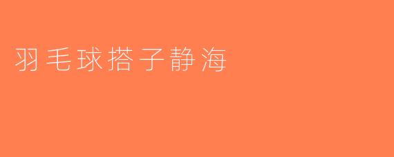 羽毛球搭子静海