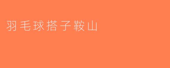 羽毛球搭子鞍山
