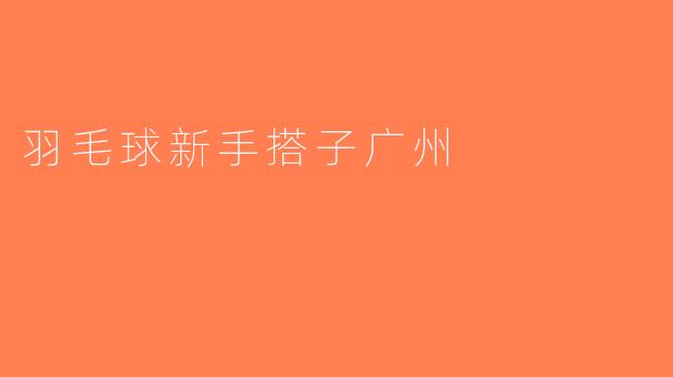 羽毛球新手搭子广州