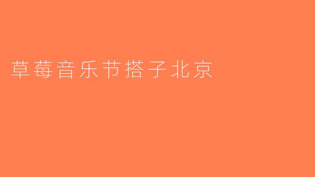 草莓音乐节搭子北京