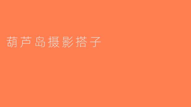 葫芦岛摄影搭子