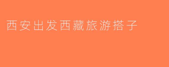 西安出发西藏旅游搭子