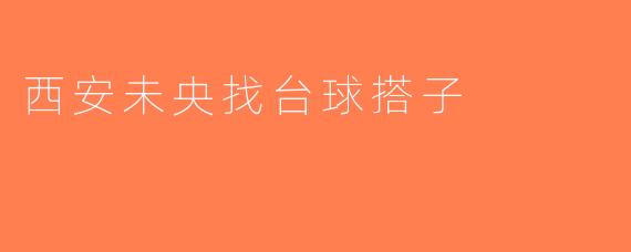 西安未央找台球搭子