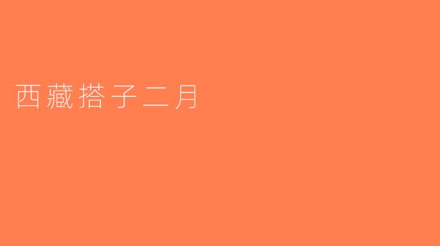 西藏搭子二月