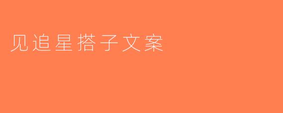 见追星搭子文案