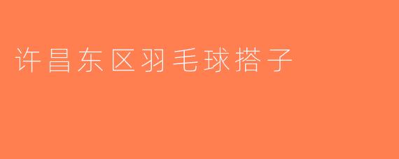 许昌东区羽毛球搭子