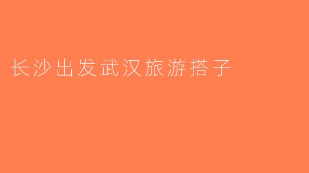 长沙出发武汉旅游搭子