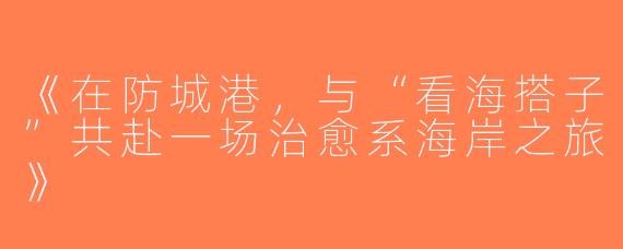 《在防城港，与“看海搭子”共赴一场治愈系海岸之旅》