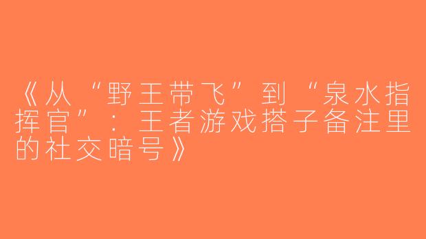 《从“野王带飞”到“泉水指挥官”：王者游戏搭子备注里的社交暗号》