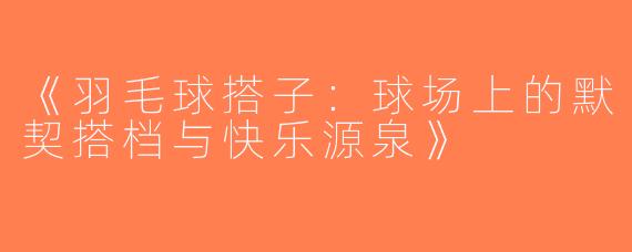 《羽毛球搭子：球场上的默契搭档与快乐源泉》
