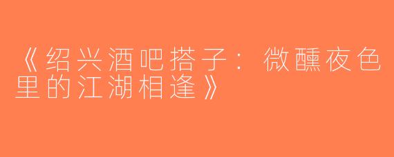 《绍兴酒吧搭子：微醺夜色里的江湖相逢》