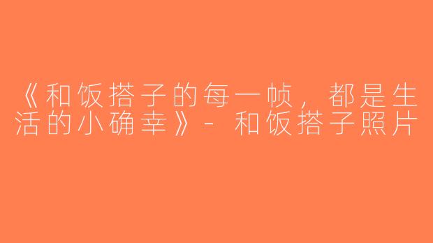 《和饭搭子的每一帧，都是生活的小确幸》-和饭搭子照片