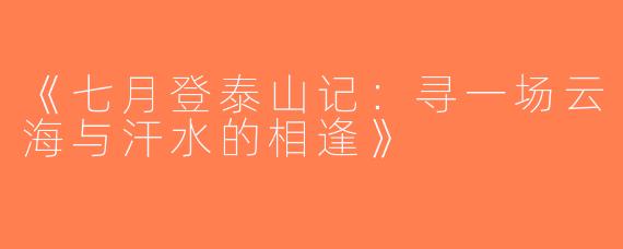 《七月登泰山记：寻一场云海与汗水的相逢》